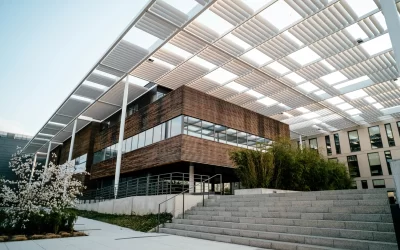 Cost-Effective Structural Design: Balancing Safety and Budget in Commercial Projects